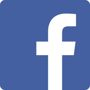 1298738facebookbrandfblogosocialmediaicon